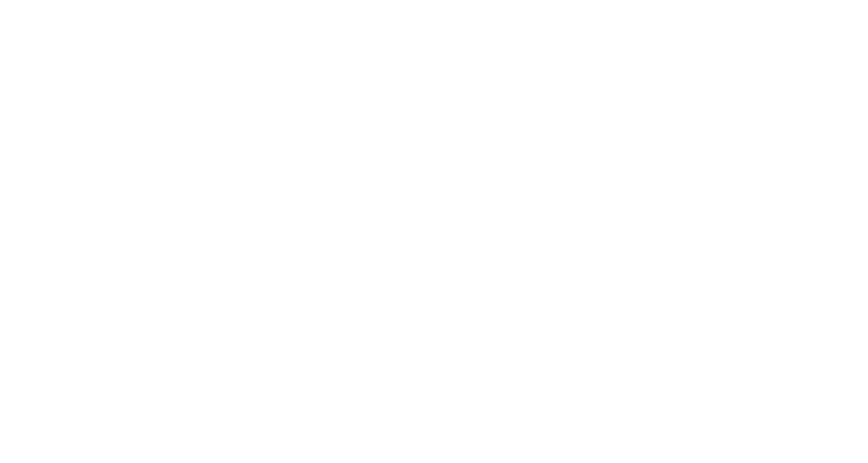 Web Intelligenz